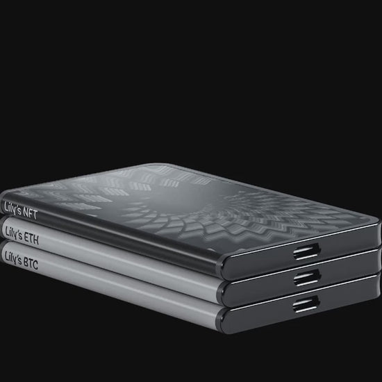 Ledger Stax Curved Display